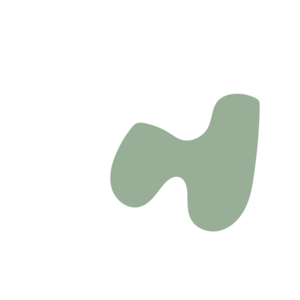 56488ded-placeholder-1770013394