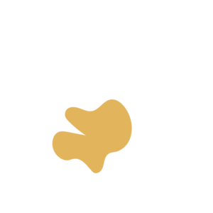 092985e0-placeholder-1770017523