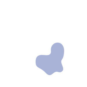 3e25bc0b-placeholder-1769022025