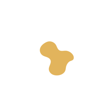 A674a0e0-placeholder-1769016382