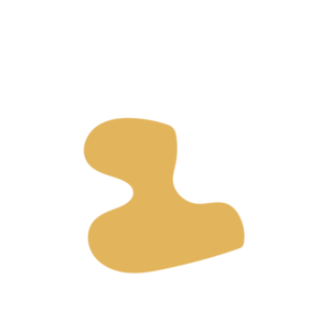 8e18e060-placeholder-1770023954