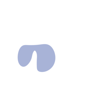 0554792e-placeholder-1770006262