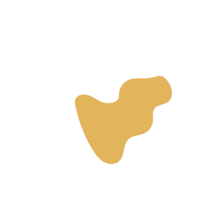 3a8c2e54-placeholder-1770015446