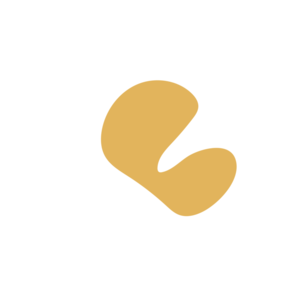 2c360a61-placeholder-1770031241