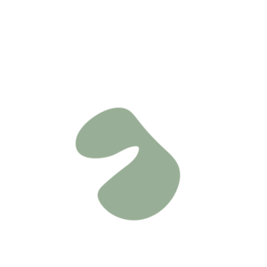 9498194e-placeholder-1770007881