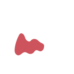 0b3b2788-placeholder-1770004977