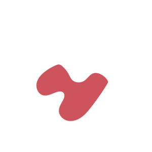 D7051cd5-placeholder-1770009062