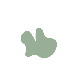 2debe290-placeholder-1770108634