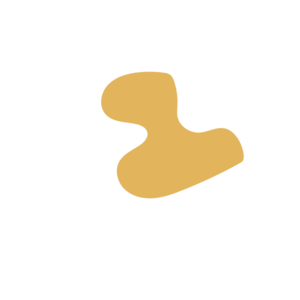 E1938150-placeholder-1770051748