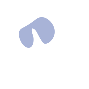 2aa075ae-placeholder-1770004999