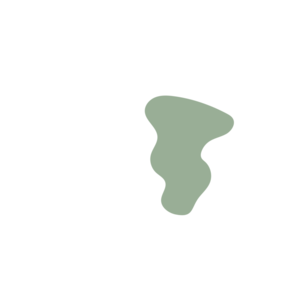 E406d57a-placeholder-1770021301