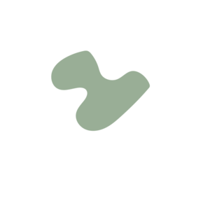 81f9929c-placeholder-1769761528