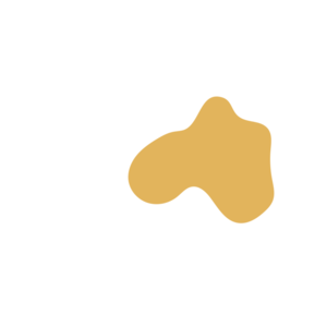 92bfe9af-placeholder-1770015279