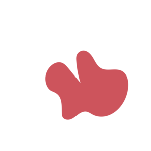 C0ff4b0d-placeholder-1770017217