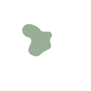 55dfd656-placeholder-1770026986