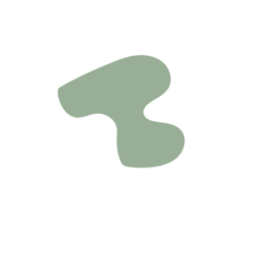 D19222ee-placeholder-1770008903