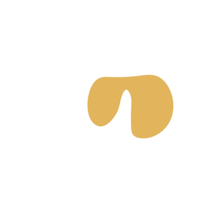 Fcbc156d-placeholder-1770055545