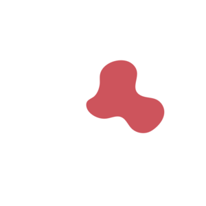 D2b1a7d5-placeholder-1770025380