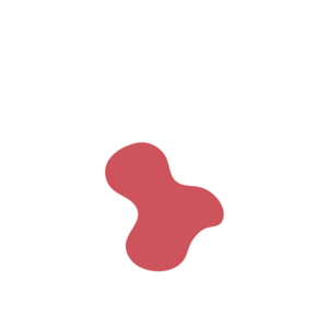 18cd6ebf-placeholder-1770010091