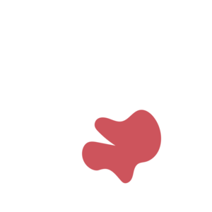 619fbb22-placeholder-1770025661