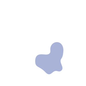 9136b730-placeholder-1770026862