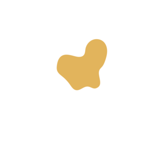 9d47d846-placeholder-1770010478