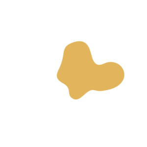 4e1cece7-placeholder-1769389594