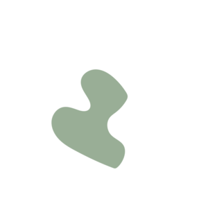 95c9d994-placeholder-1769486239