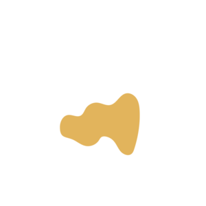 4f9fcbf1-placeholder-1770016472