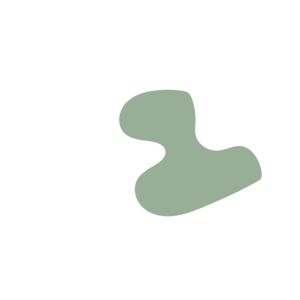 0ac336d1-placeholder-1770074508