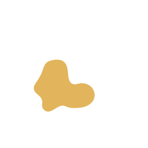 Bbbbd43f-placeholder-1770051642