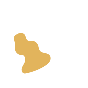 07d2e4a0-placeholder-1770010499