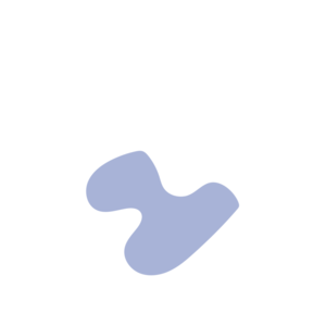 Bfa86a07-placeholder-1770011160