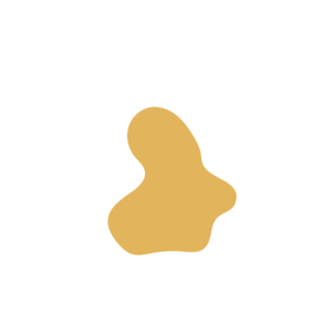 A4c0d34e-placeholder-1769452193