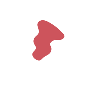 55d1cc84-placeholder-1769191699