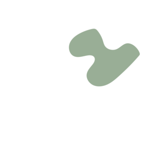 333551d8-placeholder-1770056354