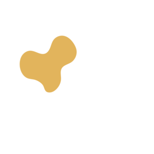 4f1045b4-placeholder-1769449863