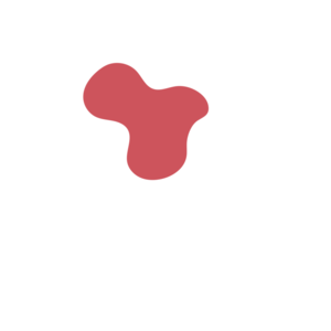 C36c4400-placeholder-1769254704