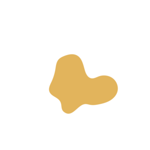 C0732202-placeholder-1770055340