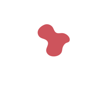 E7bb1a10-placeholder-1770051682