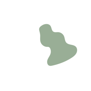 E6a88dfc-placeholder-1769997114