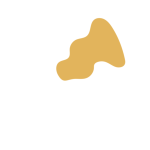 Bc3bcc17-placeholder-1770016451