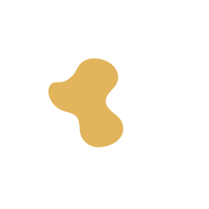 98707d6f-placeholder-1770009845