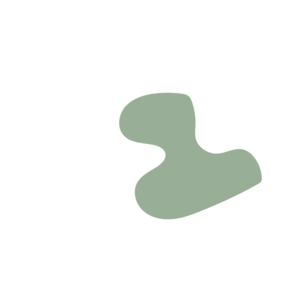 45e054e1-placeholder-1770035288