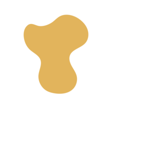 F87950cd-placeholder-1770053890