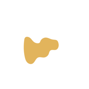 494c08f7-placeholder-1770009987