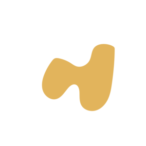 4ef748d6-placeholder-1770018710