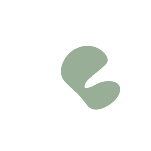 332da72e-placeholder-1770005371