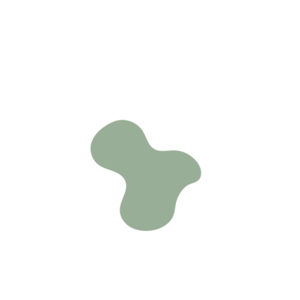 0338a382-placeholder-1770005614