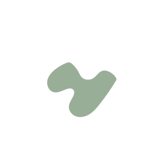 F47010ed-placeholder-1769995788